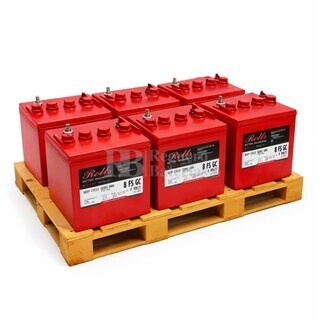 Pack 6 baterias Rolls 8FS-GC | Para Buggy El�ctrico